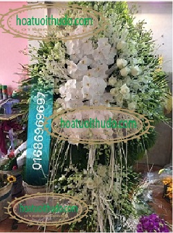 lẵng hoa lan trắng tại số 5 trần thánh tông