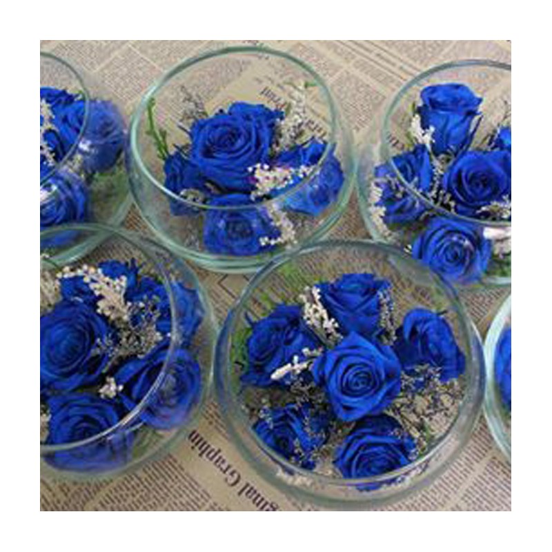 Lọ tròn 6 hoa hồng xanh magic